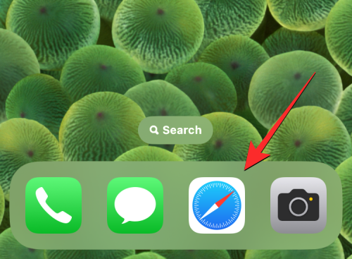 refresh-a-page-on-iphone-12-a
