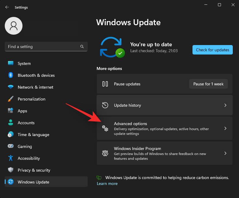 windows-11-disable-updates-rtp-2