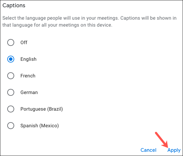 moreoptionscaptionslanguage-googlemeetlivecaptions