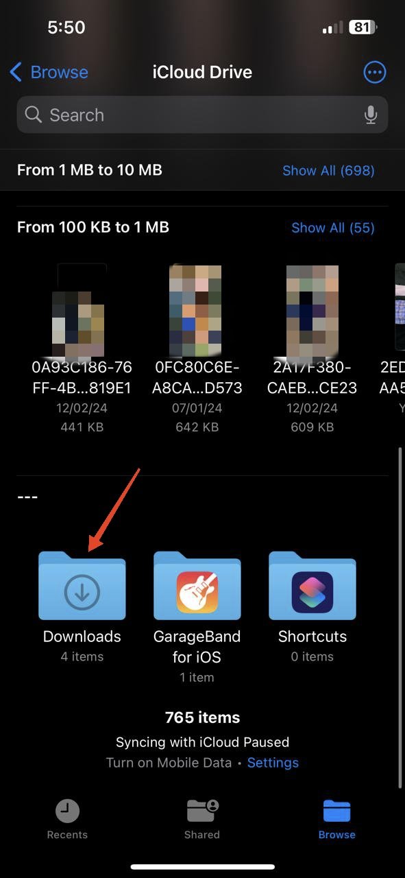 force-touch-or-tap-hold-the-download-folder