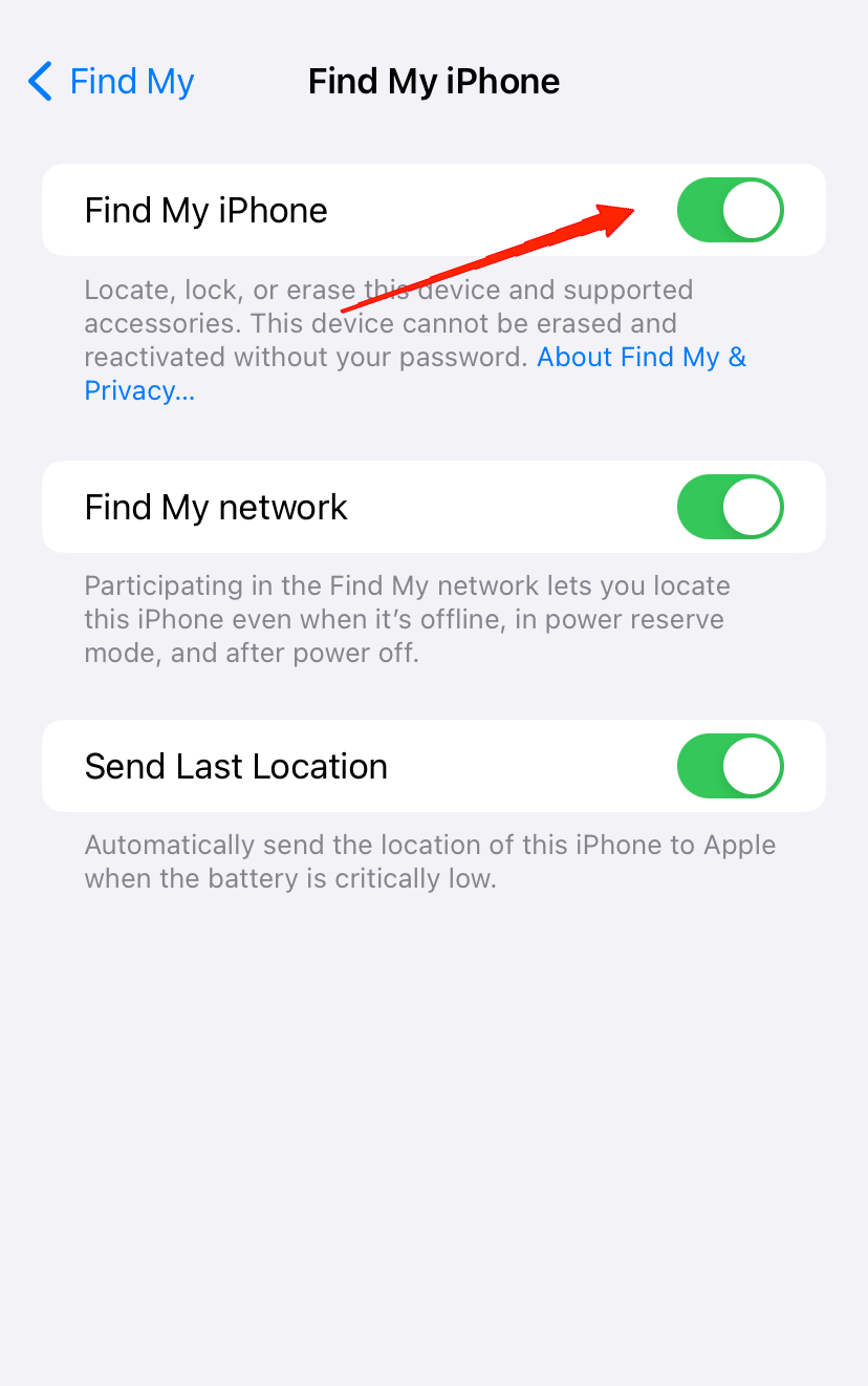 in-the-next-step-you-will-enable-the-toggle-beside-find-my-iphone
