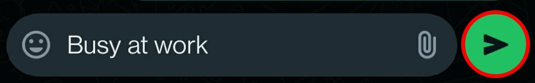 press-the-send-button-to-deliver-your-whatsapp-message