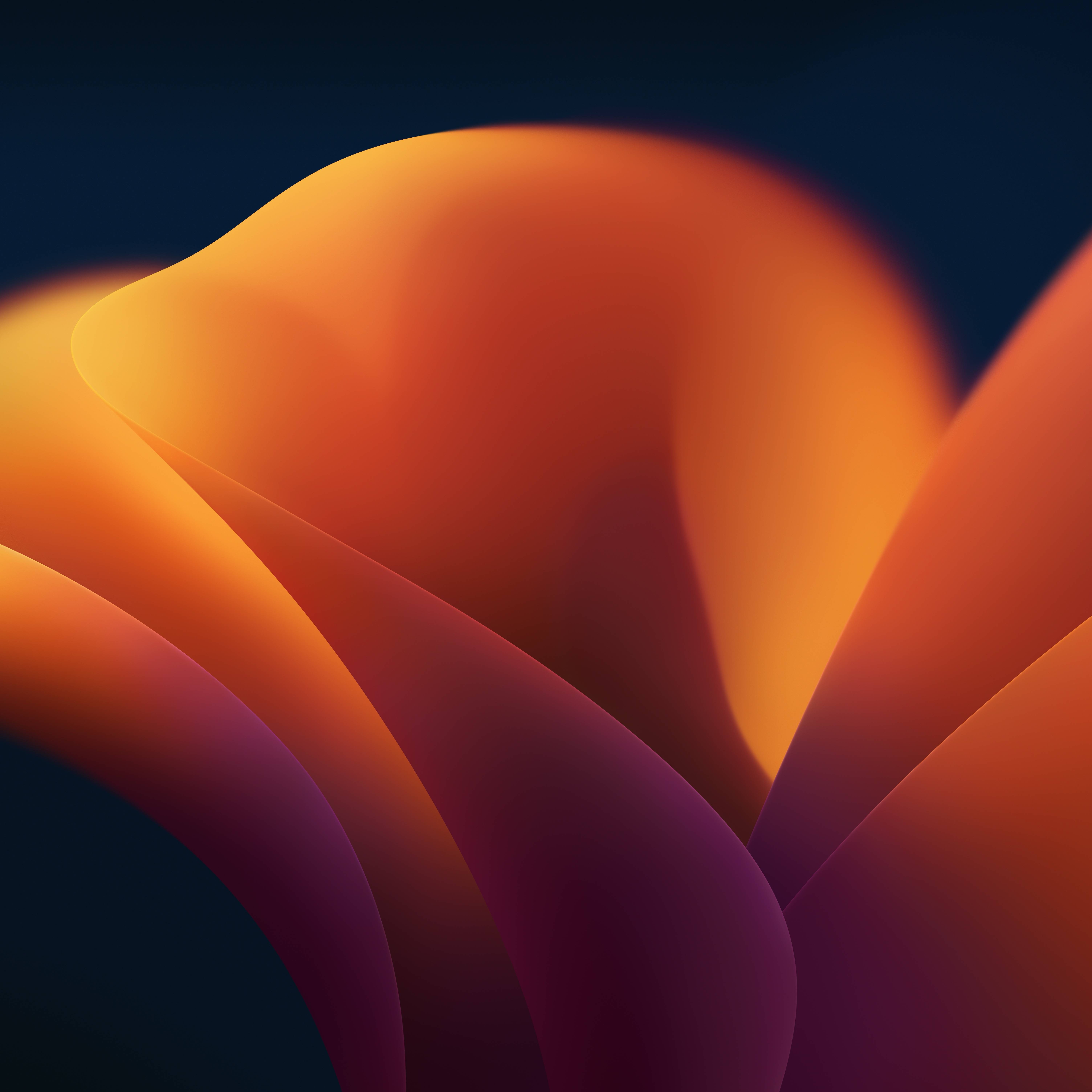 macos-graphic-dark macos-graphic-dark