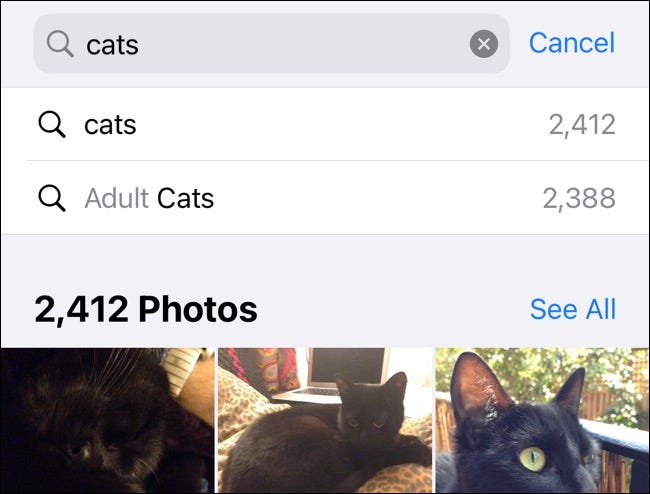 cat_search cat_search