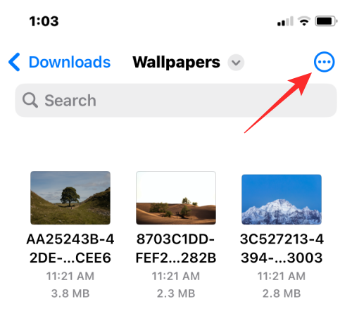 merge-multiple-images-into-pdf-21-a