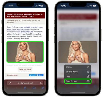 1safari-copy-subject-images-ios 1safari-copy-subject-images-ios