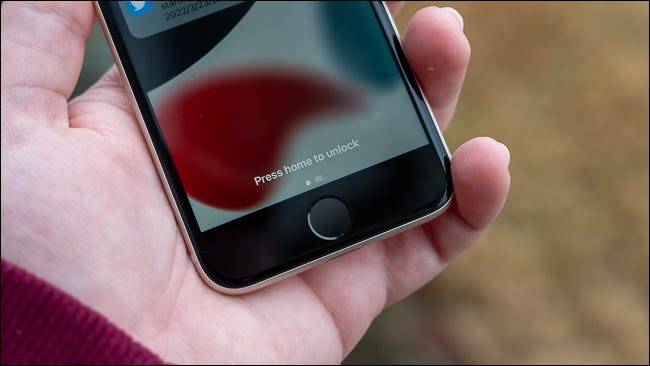close-up-of-the-iphone-ses-fingerprint-sensor