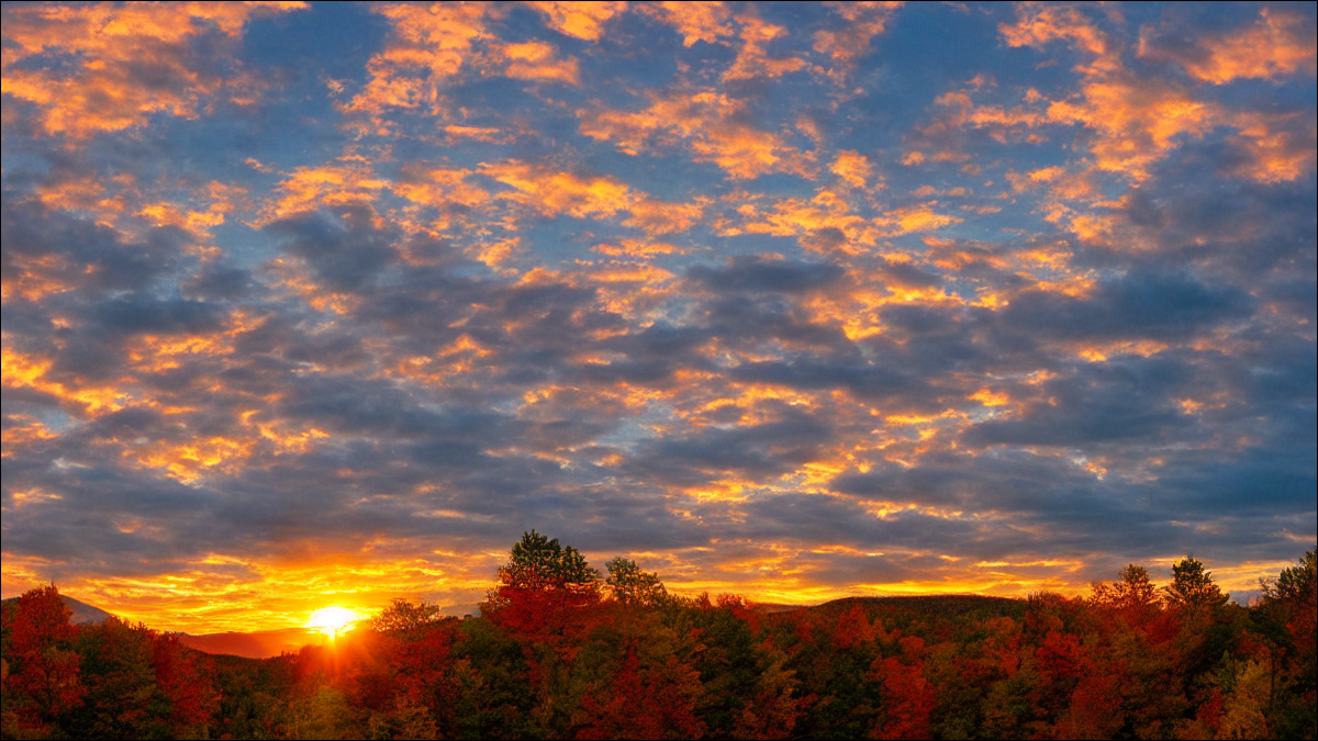 header-image header-image