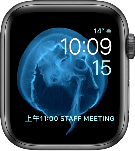 f0ff85f855db01d f0ff85f855db01d