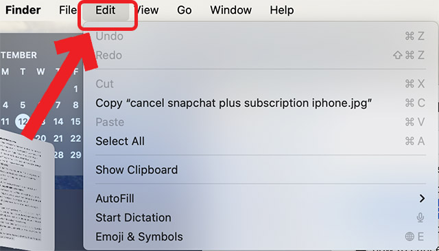 edit-option-in-menu-bar edit-option-in-menu-bar
