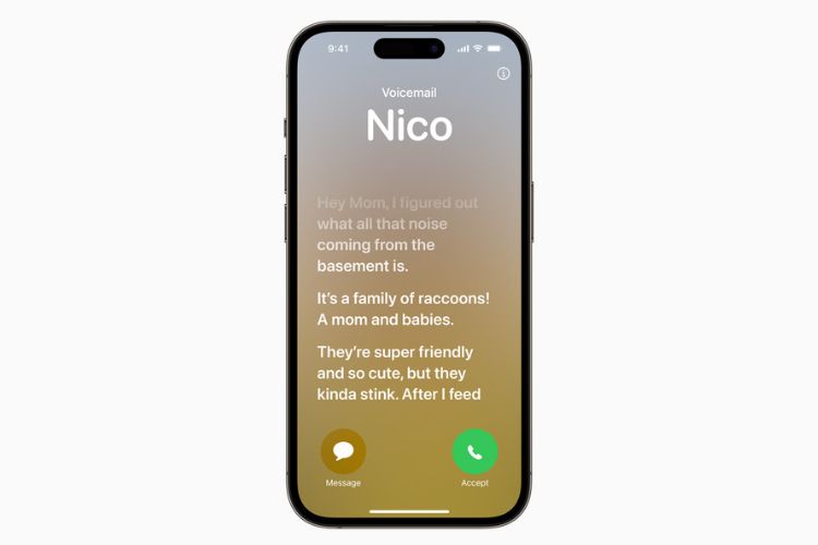 live-voicemail live-voicemail