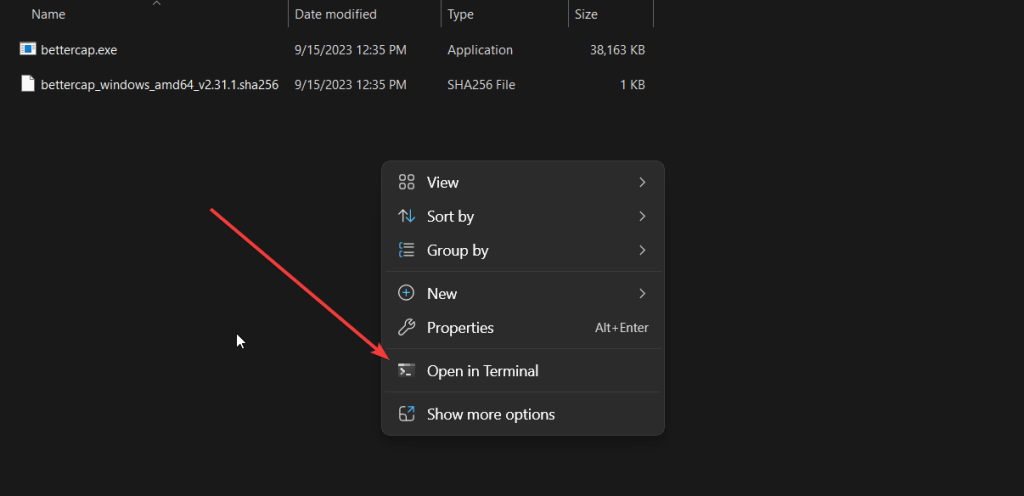 open-in-terminal-1024x496-1 open-in-terminal-1024x496-1