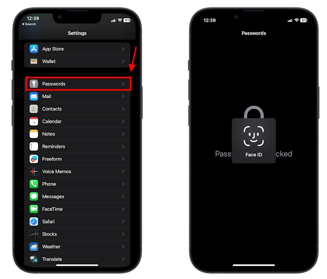 open-passwords-in-iphone-settings open-passwords-in-iphone-settings