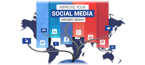 improve-your-social-media-organic-reach improve-your-social-media-organic-reach