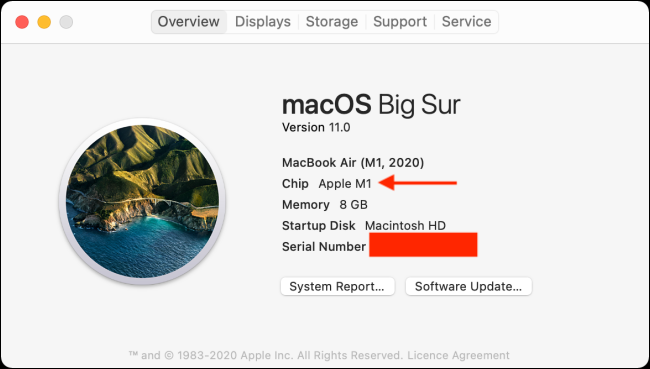 xchip-section-in-about-this-mac.png.pagespeed.gp_jp_jw_pj_ws_js_rj_rp_rw_ri_cp_md.ic_.nyunyntm6g